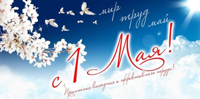 photo_2024-04-30_22-13-35